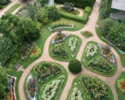 The Butterfly garden attracts the garden with its collection from around the world while the Medicinal garden has a collection of different herbs.